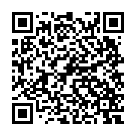 QR code for NO 2667