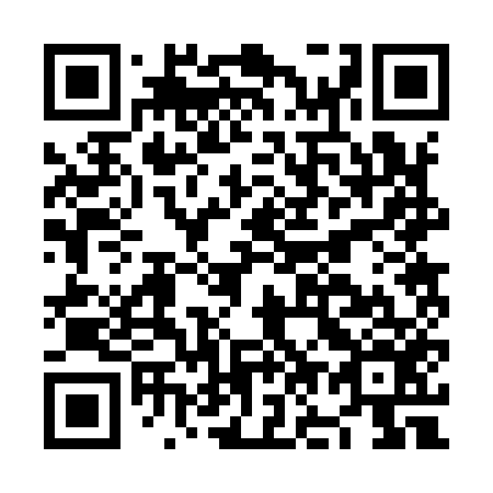 QR code for NO 2956