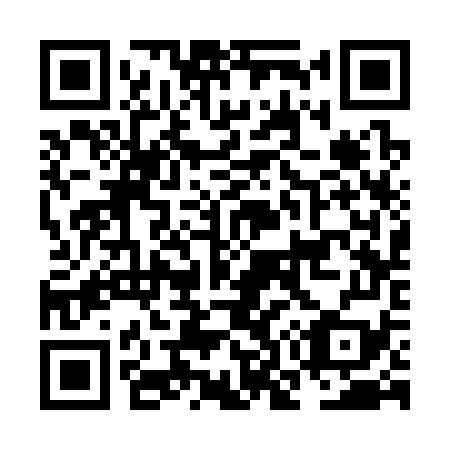 QR code for NO 3379