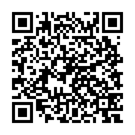 QR code for NO 4379