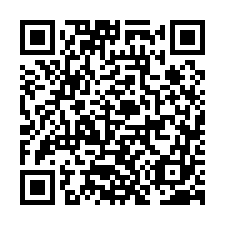 QR code for NO 6163