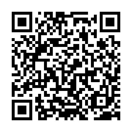 QR code for NO 6393