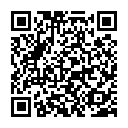 QR code for NO 6538