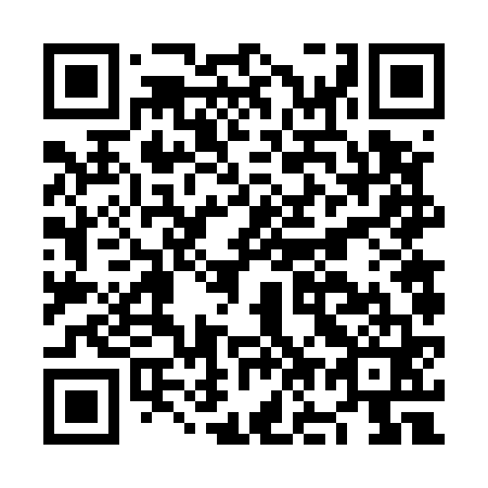 QR code for NO 6561