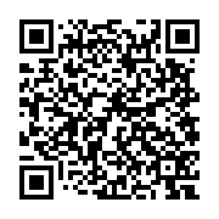 QR code for NO 6576
