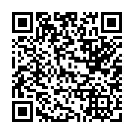 QR code for NO 7381