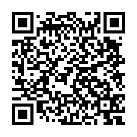 QR code for plate NO 0435