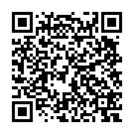 QR code for plate NO 2428