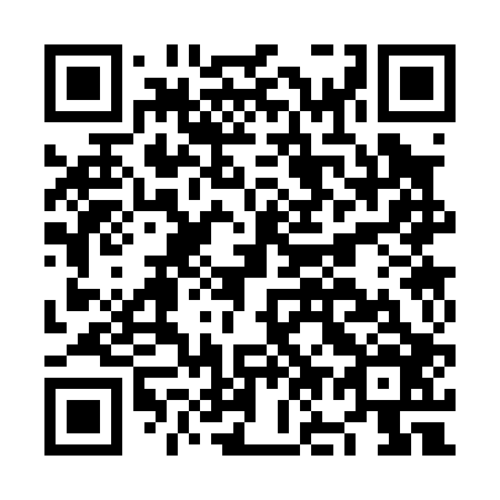QR code for NO3006