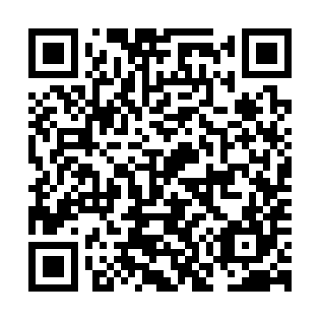 QR code for NO3384