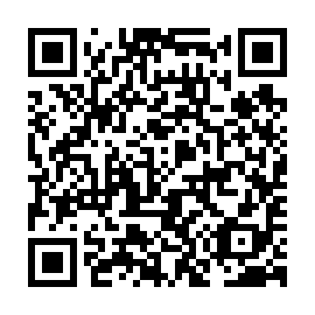 QR code for NO3698