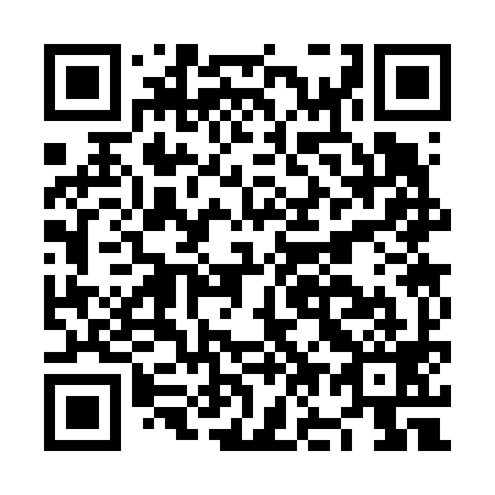 QR code for NO3699
