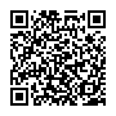 QR code for NO3951