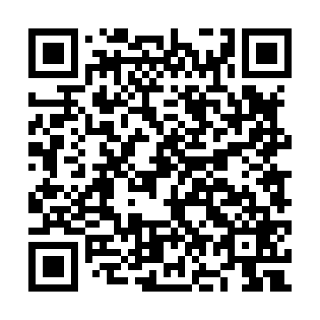 QR code for plate NO 4869