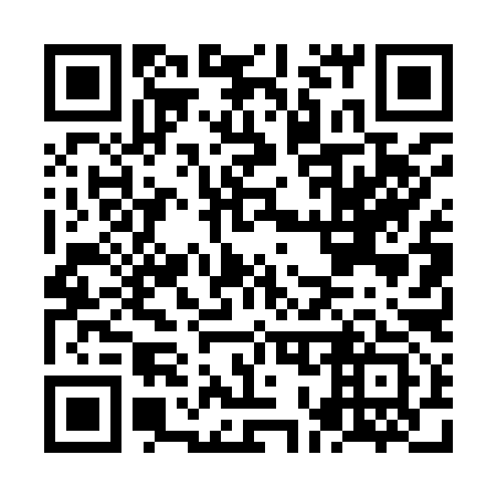 QR code for NO4993