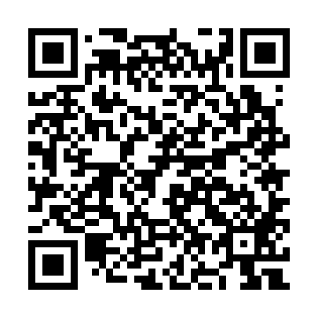 QR code for plate NO 5389
