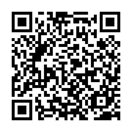 QR code for plate NO 6007