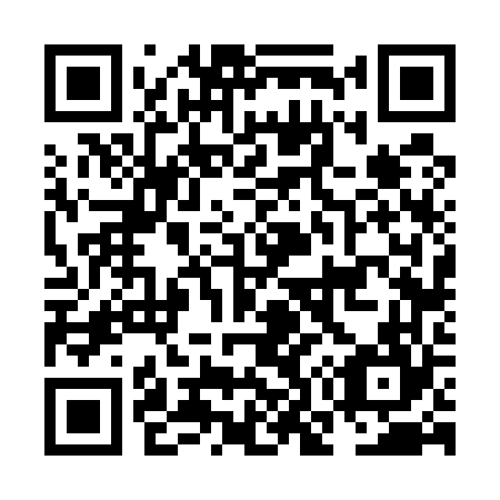 QR code for plate NO 6564