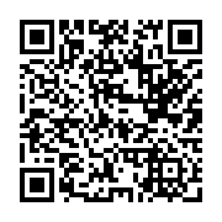 QR code for plate NO 6911