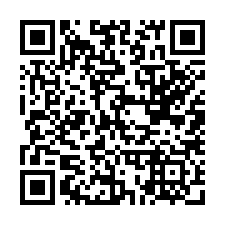 QR code for plate NO 7383