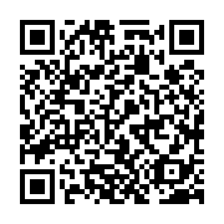 QR code for plate NO 8538