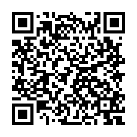 QR code for NO9101