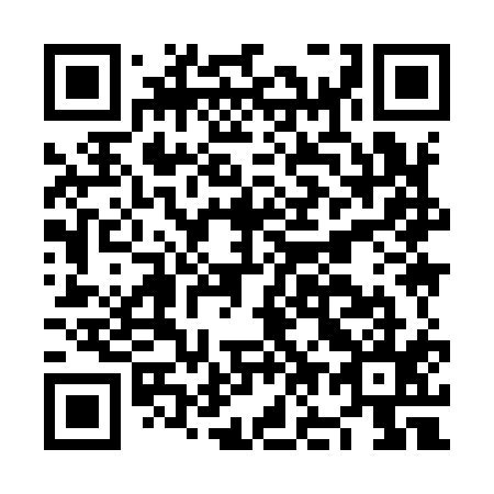 QR code for plate NO 9915