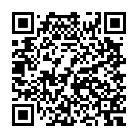 QR code for plate NOE 051