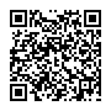 QR code for NOE308