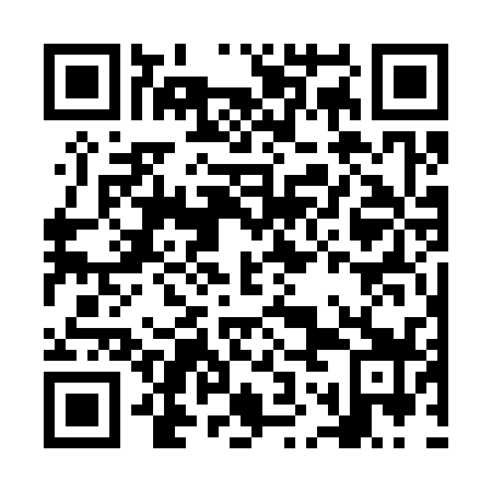 QR code for plate NOG 339