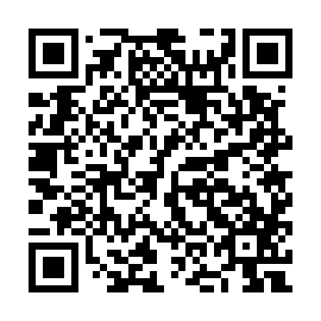 QR code for plate NOG 587