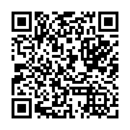 QR code for NOK 453