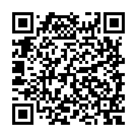 QR code for NON 991