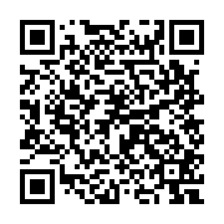 QR code for plate NOW 101