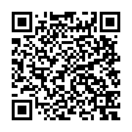 QR code for plate NOW 539