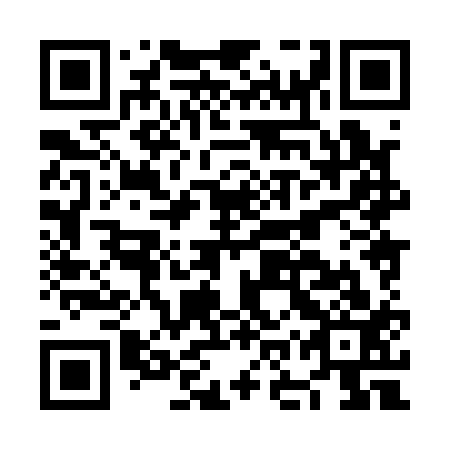 QR code for plate NOX 113