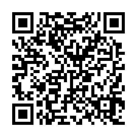 QR code for NP 0317