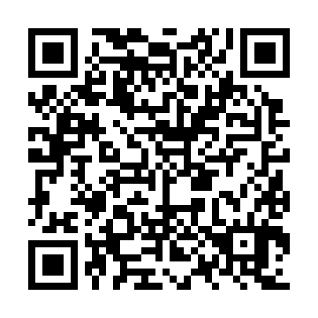 QR code for NP 6384