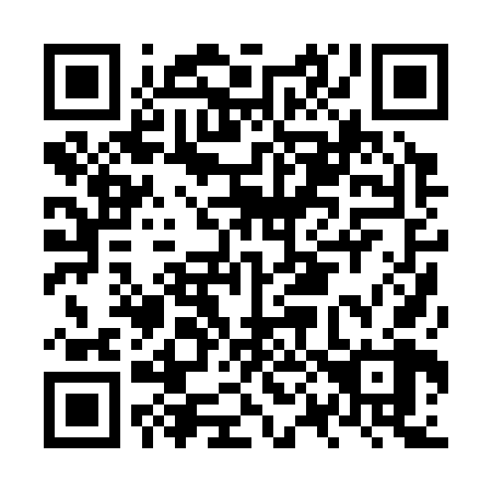 QR code for plate NP 0368