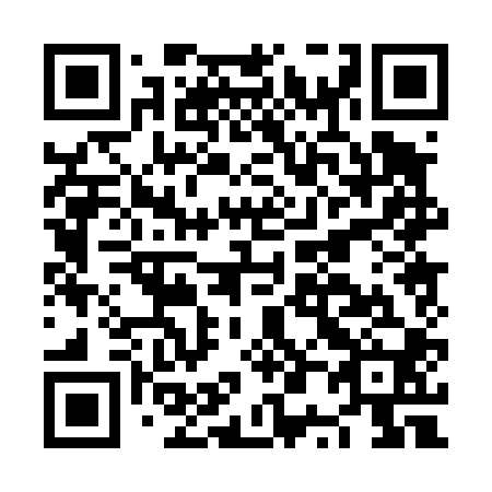 QR code for plate NP 0400