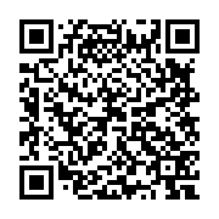 QR code for plate NP 2873