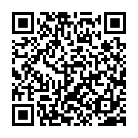 QR code for plate NP 4333