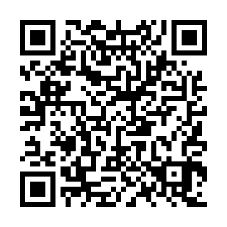 QR code for plate NP 4503
