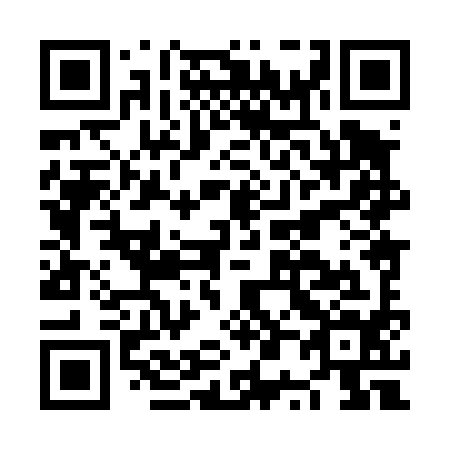 QR code for plate NP 8494