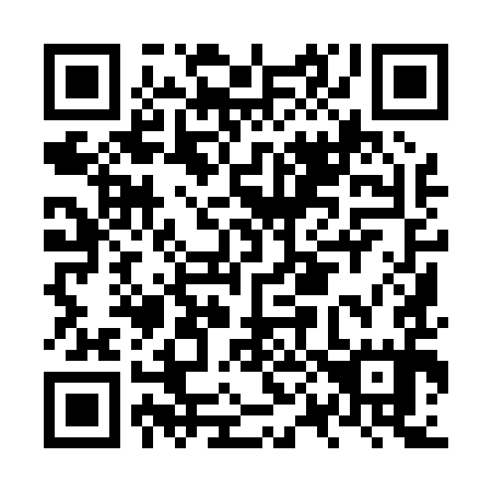 QR code for plate NP 9095