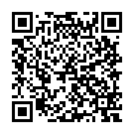 QR code for plate NP 9199
