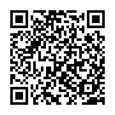 QR code for NPA 381