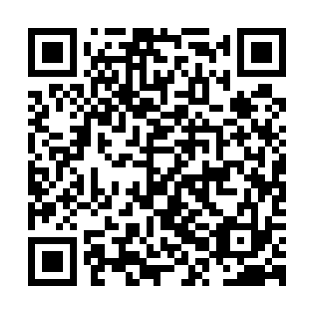 QR code for NPA533