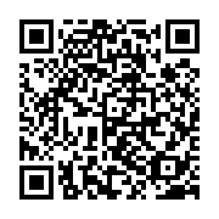 QR code for NPC 538
