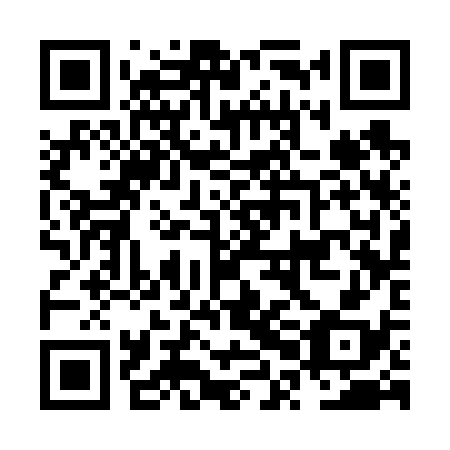 QR code for NPC 638